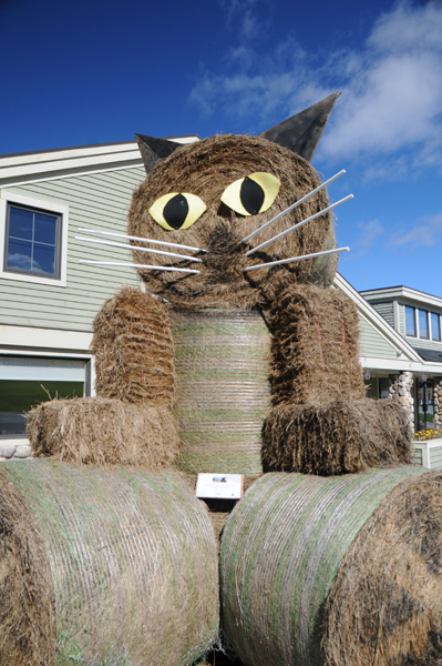 cat sculpture