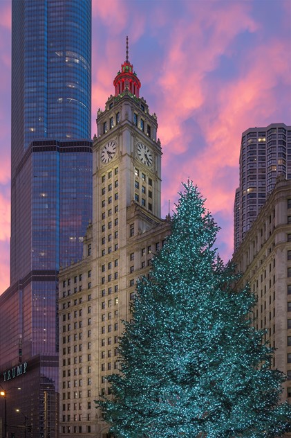 Christmas lights and sunset color in Chicago, Illinois by Rebecca Metschke Photography