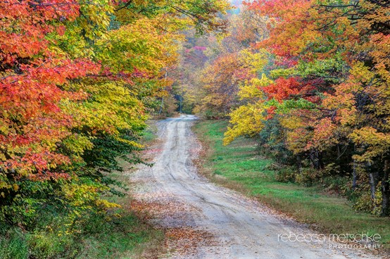 Country road in Pinkham Notch New Hampshire
